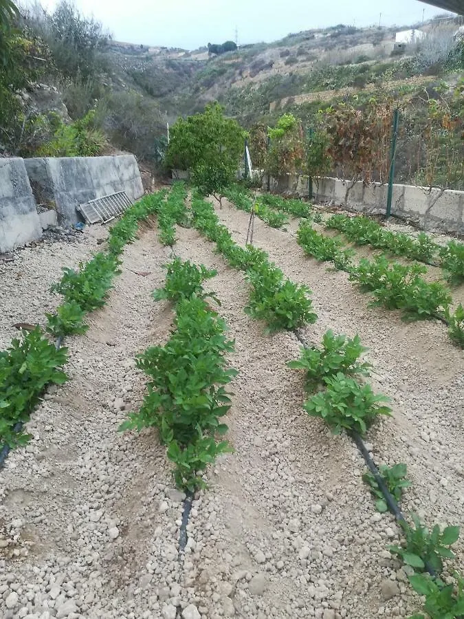 Holiday home Casita Rural Y Casa Cueva El Perucho Villa Guimar Spain